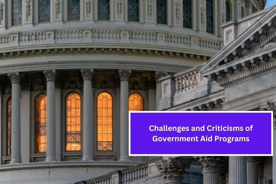 Challenges and Criticisms of Government Aid Programs