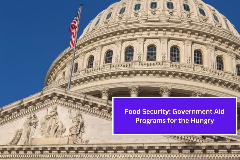 Food Security: Government Aid Programs for the Hungry